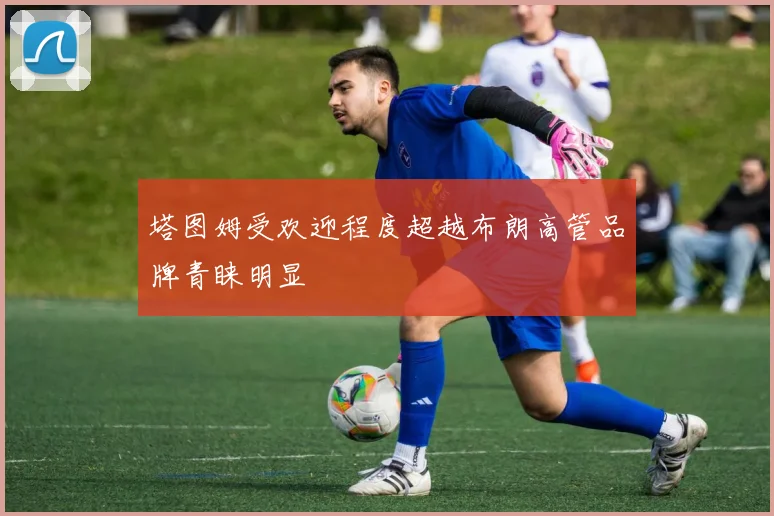 塔图姆受欢迎程度超越布朗高管品牌青睐明显