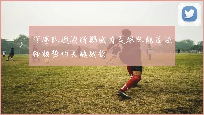 海港队迎战新鹏城将是球队能否逆转颓势的关键战役